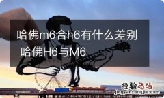 哈佛m6合h6有什么差别 哈佛H6与M6