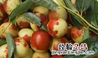 冬枣宝宝能吃吗 冬枣宝宝能吃吗?