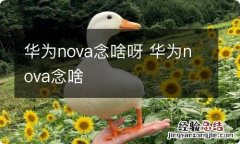 华为nova念啥呀 华为nova念啥