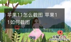 苹果11怎么截图 苹果11如何截图