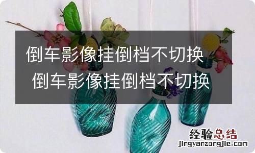 倒车影像挂倒档不切换 倒车影像挂倒档不切换怎么办