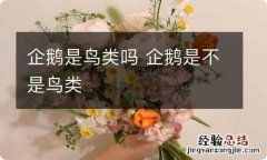 企鹅是鸟类吗 企鹅是不是鸟类