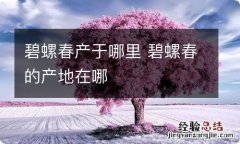 碧螺春产于哪里 碧螺春的产地在哪