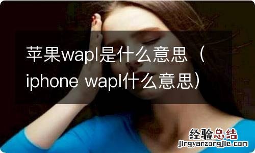 iphone wapl什么意思 苹果wapl是什么意思