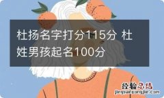 杜扬名字打分115分 杜姓男孩起名100分