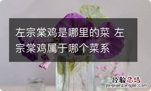 左宗棠鸡是哪里的菜 左宗棠鸡属于哪个菜系