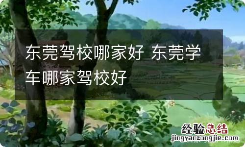 东莞驾校哪家好 东莞学车哪家驾校好