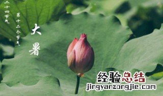大暑节气的特点是什么 大暑节气的风俗