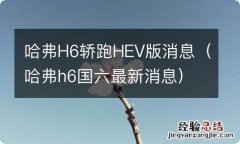 哈弗h6国六最新消息 哈弗H6轿跑HEV版消息