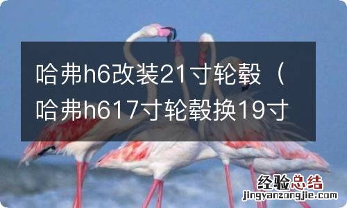 哈弗h617寸轮毂换19寸 哈弗h6改装21寸轮毂