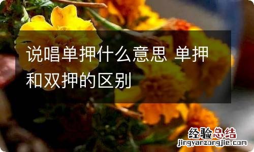 说唱单押什么意思 单押和双押的区别