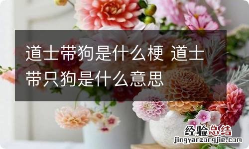 道士带狗是什么梗 道士带只狗是什么意思