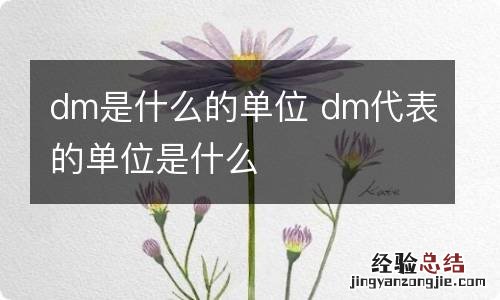 dm是什么的单位 dm代表的单位是什么