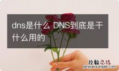 dns是什么 DNS到底是干什么用的