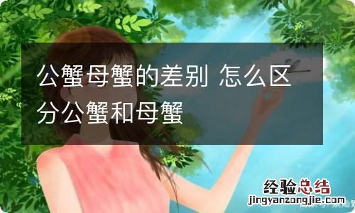 公蟹母蟹的差别 怎么区分公蟹和母蟹