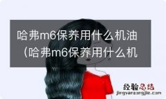 哈弗m6保养用什么机油视频 哈弗m6保养用什么机油