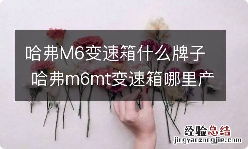 哈弗M6变速箱什么牌子 哈弗m6mt变速箱哪里产的