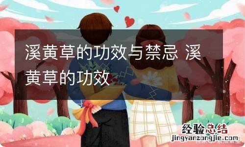 溪黄草的功效与禁忌 溪黄草的功效