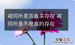 戒同所是否真实存在 戒同所是不是真的存在