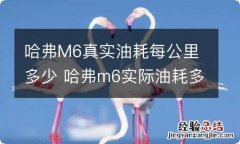 哈弗M6真实油耗每公里多少 哈弗m6实际油耗多少