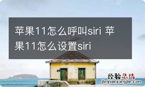 苹果11怎么呼叫siri 苹果11怎么设置siri