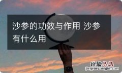 沙参的功效与作用 沙参有什么用