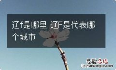 辽f是哪里 辽F是代表哪个城市