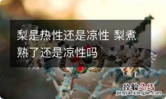 梨是热性还是凉性 梨煮熟了还是凉性吗