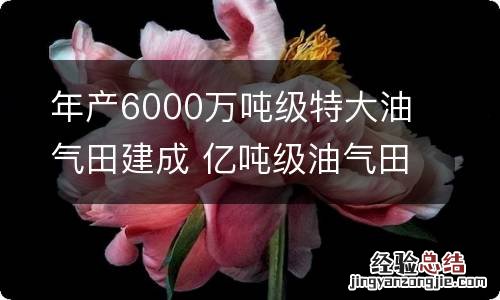 年产6000万吨级特大油气田建成 亿吨级油气田