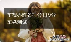 车视界姓名打分119分 车名测试