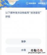 以下哪种海洋动物能用“排泄器官”呼吸？神奇海洋1月11日答案最新