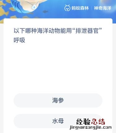 以下哪种海洋动物能用“排泄器官”呼吸？神奇海洋1月11日答案最新