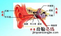 耳朵痒小妙招 生活小常识