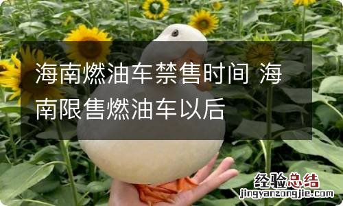 海南燃油车禁售时间 海南限售燃油车以后