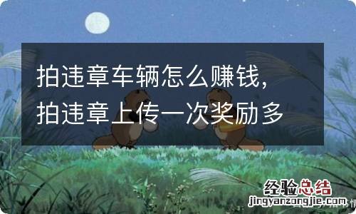 拍违章车辆怎么赚钱,拍违章上传一次奖励多少钱