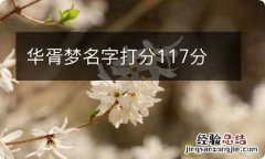 华胥梦名字打分117分