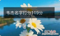 韦杰名字打分119分