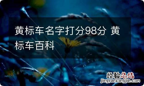 黄标车名字打分98分 黄标车百科