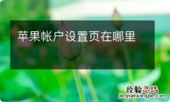 苹果帐户设置页在哪里