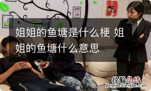 姐姐的鱼塘是什么梗 姐姐的鱼塘什么意思