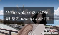 华为nova5pro返回键在哪 华为nova5pro返回键怎么设置