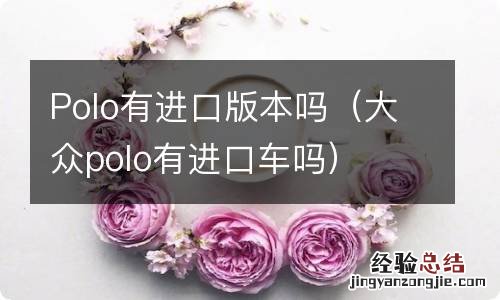 大众polo有进口车吗 Polo有进口版本吗