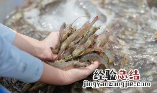 冰冻大虾如何清洗干净 冰冻大虾怎样清洗干净