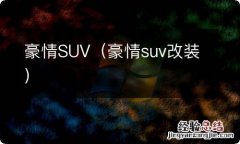 豪情suv改装 豪情SUV