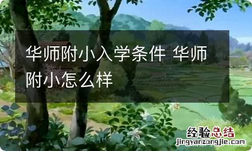 华师附小入学条件 华师附小怎么样