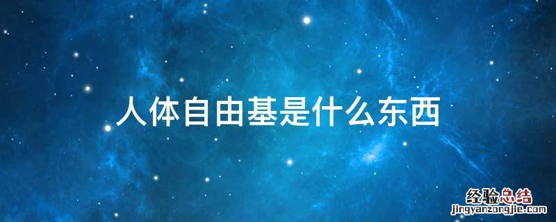 人体自由基是什么东西