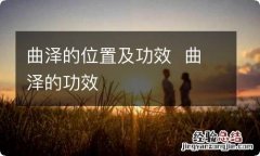 曲泽的位置及功效曲泽的功效