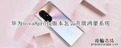 华为nova8pro4g版本怎么升级鸿蒙系统