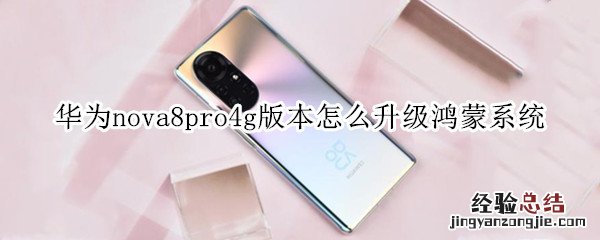 华为nova8pro4g版本怎么升级鸿蒙系统