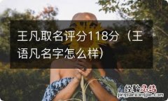 王语凡名字怎么样 王凡取名评分118分